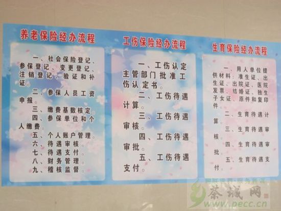 景东县灵活就业人员参加社会养老保险可自选缴
